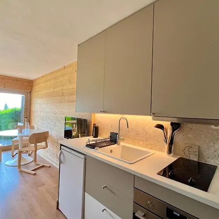 With Mont Blanc View Terrace And Garden * Combloux